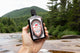 A pine forest backdrops a hand holding up a bottle of pine tar shampoo.